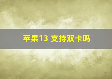 苹果13 支持双卡吗